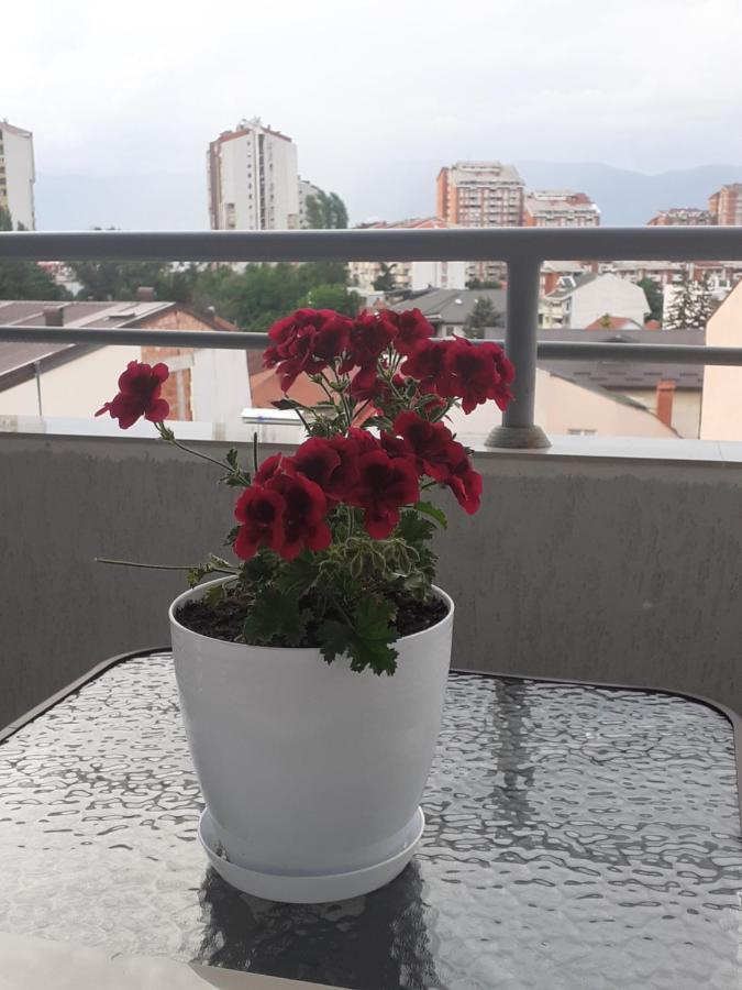 Ballet Apartament Skopje Ngoại thất bức ảnh